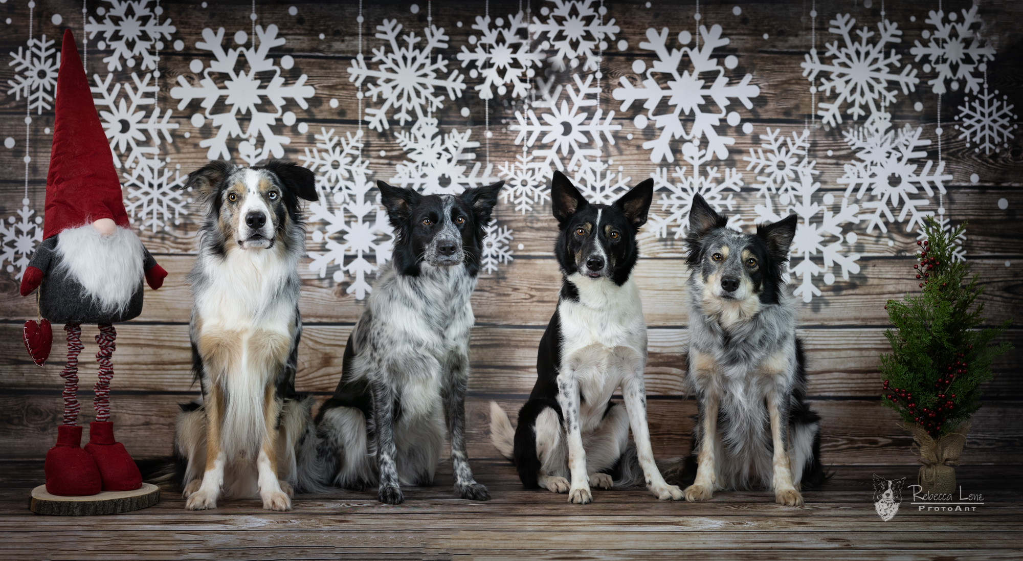 web_weihnachtsfoto_merged